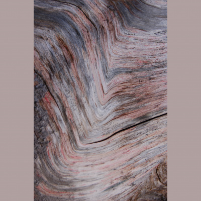 Mindfulness Classes With Oli Doyle