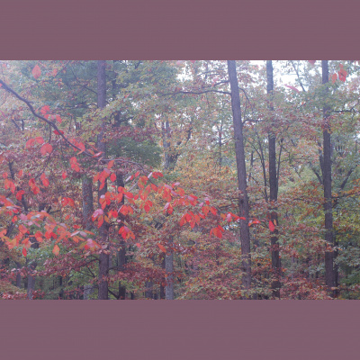 Mindfulness Classes With Oli Doyle