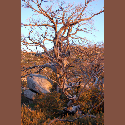 Mindfulness Classes With Oli Doyle