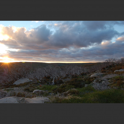 Mindfulness Classes With Oli Doyle