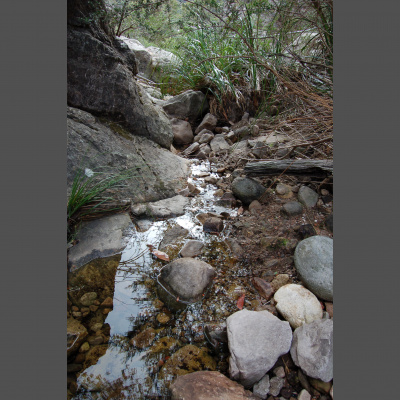 Mindfulness Classes With Oli Doyle