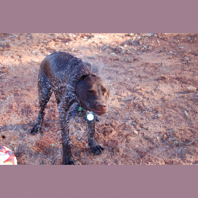 Mindfulness Classes With Oli Doyle