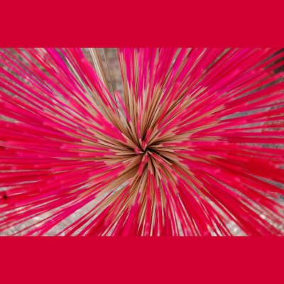 Mindfulness Classes With Oli Doyle