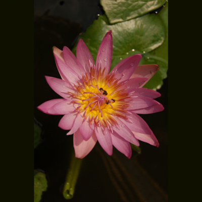 Mindfulness Classes With Oli Doyle