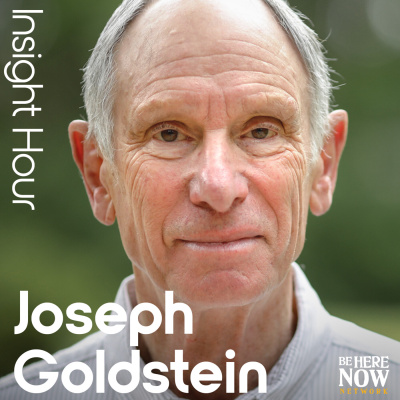 Insight Hour With Joseph Goldstein
