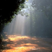 Hypnosis Podcasts - Complete dream recall