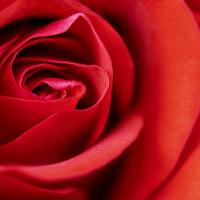 EP:75 Sensual Hypnosis Meditation