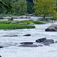 Ep. 69 Mindfulness practice importance