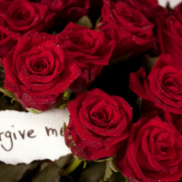 Episode 13 - Forgiving