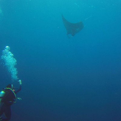 Lilly Natures Blessings Podcast