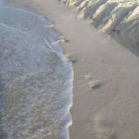 Rest Through Surrender Part 2. Empty Cup Oct 4