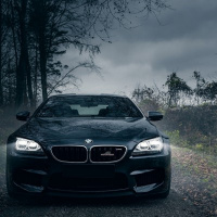 Carros Esportivos: Potência e Emoção