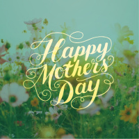 City - Mothers Day 2025 - Miranda Stewart - (05/11/25)