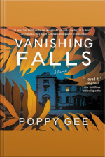 Vanishing Falls: A Novel