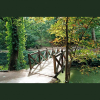 Weight Loss  Homeostasis