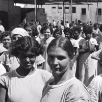 O Holocausto Brasileiro