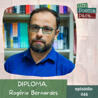 245 - Diploma - Rogério Bernardes