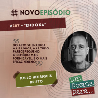 287 - Endoxa, Paulo Henriques Britto
