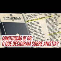 O QUE A CONSTITUINTE DE 1988 DECIDIU SOBRE CRIMES CONTRA A DEMOCRACIA