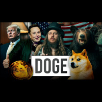 DOGE E AS FALCATRUAS DA USAID | Rasta News