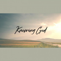 2019-08-11 - Niki Zazulak - The Sons Pleasure in the Church - Audio