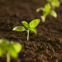 A sustainable future in soil health