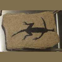 Podcast 280 - Just a Weird Little Guy