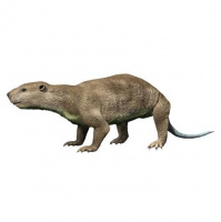 Podcast 116 - Changing Relationships Dinosaurs and Marsupials