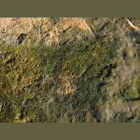 Podcast 262 - Take It To The Mat