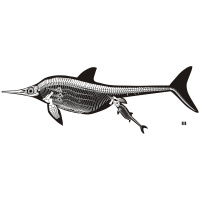 Podcast 261 - Bad Coping Strategies