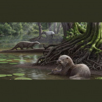 Podcast 147 - Otters and Sharks and Wolves Oh My