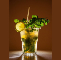 Podcast 286 - Dinosaurs, Sabertooths, and Mojitos Oh My!