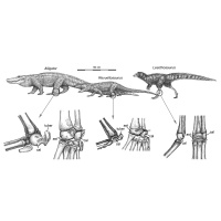 Podcast 113 - Whats In a Bauplan