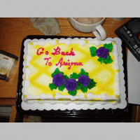 Podcast 231 - Disappointing Birthday