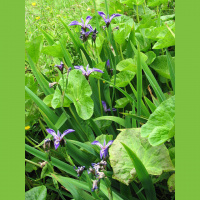 Podcast 253 - Moving Out