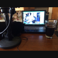 Podcast 39 - Fractal Fronds Ediacaran Ecology