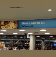 Podcast 167 - Jet Lagged Pterosaur Eggs