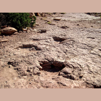 Podcast 234 - Cool Trackway Bro