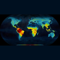 Podcast 142 - The LDG