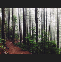 Podcast 276b - In the Woods Somewhere Part 2