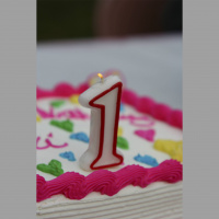 Podcast 27 - Ichthyosaur Birthday Party