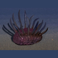 Podcast 24 - We never should have podcasted about Wiwaxia