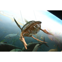 Podcast 293 - This Episode Doesnt Suck