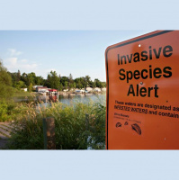 Podcast 152 - Community Reboot