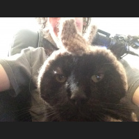 Podcast 97 - Big Heads