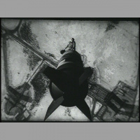 Podcast 29 - Everythings Screwed OR How I Learned to Stop Worrying and Love Mass Extinctions