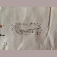 Podcast 40 - Treading Water Lets Talk About Hippos