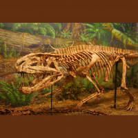 Podcast 163 - Triassic Fish Questions