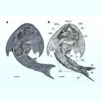 Podcast 249 - The Fishiest Podcast