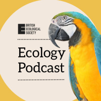 FE: Ecology of Stress - Robbie Wilson interviews Lanna Desantis